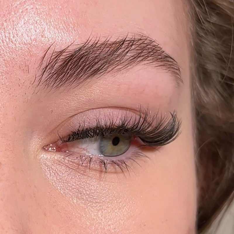 Special Edition DIY Kit