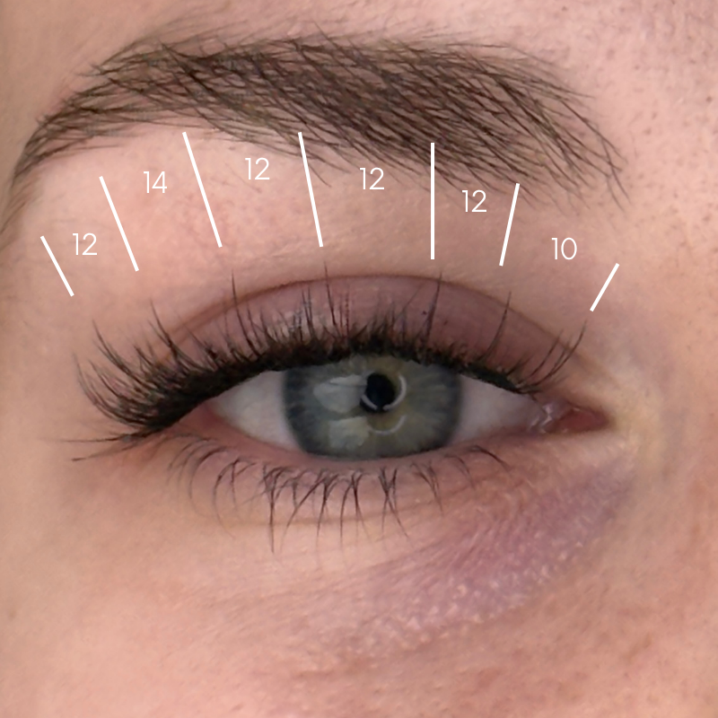 FLUTTER 80 lashes