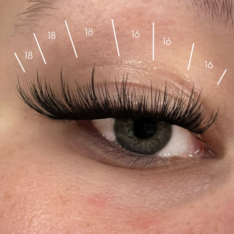 HELLO SPIKES 80 lashes